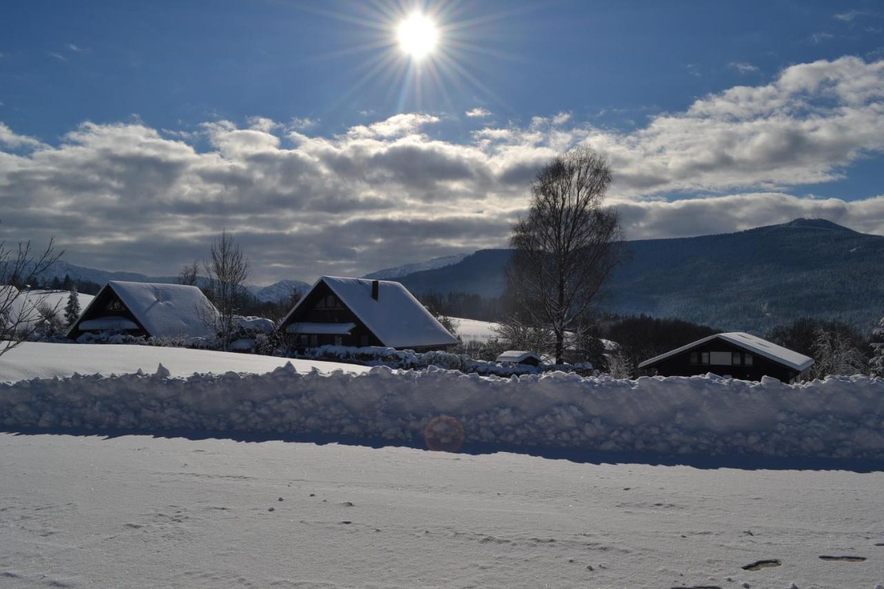 Private Luxury Chalet Siegsdorf Bagian luar foto